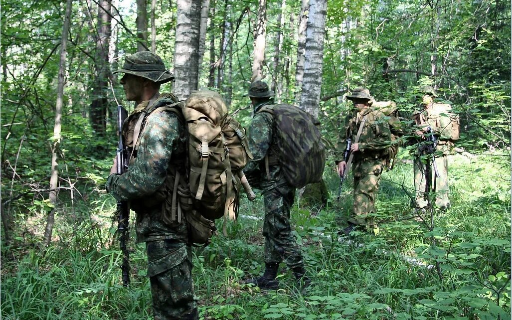 Фото военных в лесу